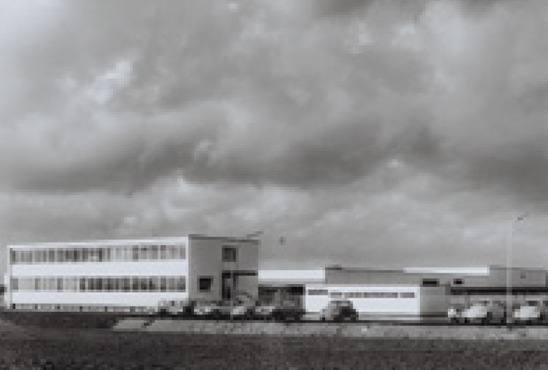 1966